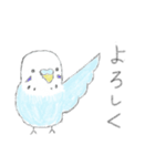 うちの子イラストスタンプ（インコさん）2（個別スタンプ：1）