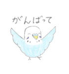 うちの子イラストスタンプ（インコさん）2（個別スタンプ：3）