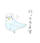 うちの子イラストスタンプ（インコさん）2（個別スタンプ：10）