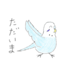 うちの子イラストスタンプ（インコさん）2（個別スタンプ：11）