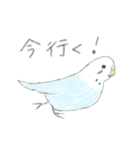うちの子イラストスタンプ（インコさん）2（個別スタンプ：12）