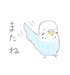 うちの子イラストスタンプ（インコさん）2（個別スタンプ：13）