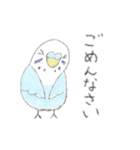 うちの子イラストスタンプ（インコさん）2（個別スタンプ：17）