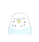 うちの子イラストスタンプ（インコさん）2（個別スタンプ：23）