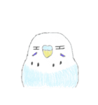 うちの子イラストスタンプ（インコさん）2（個別スタンプ：24）