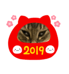 モモのお正月（個別スタンプ：3）