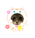 モモのお正月（個別スタンプ：6）