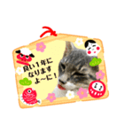 モモのお正月（個別スタンプ：7）