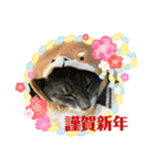 モモのお正月（個別スタンプ：8）