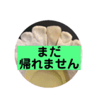 歯医者さんのイラストと写真スタンプ2（個別スタンプ：18）