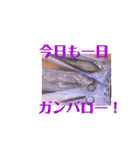 歯医者さんのイラストと写真スタンプ2（個別スタンプ：20）