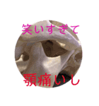 歯医者さんのイラストと写真スタンプ2（個別スタンプ：21）