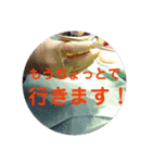 歯医者さんのイラストと写真スタンプ2（個別スタンプ：23）