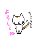 ねこ太スタンプ（個別スタンプ：5）