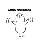 いつもインコたちと一緒に4（個別スタンプ：1）