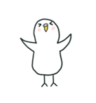 いつもインコたちと一緒に4（個別スタンプ：2）