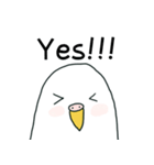 いつもインコたちと一緒に4（個別スタンプ：8）