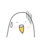 いつもインコたちと一緒に4（個別スタンプ：19）