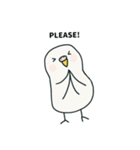 いつもインコたちと一緒に4（個別スタンプ：23）