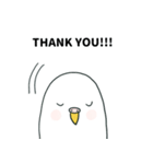 いつもインコたちと一緒に4（個別スタンプ：25）