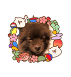 表情だらけ4（個別スタンプ：21）