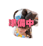 我が家のゆーちゃん(正月ver.)（個別スタンプ：31）