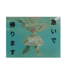 猫とか？（個別スタンプ：3）