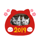 猫とか？（個別スタンプ：4）