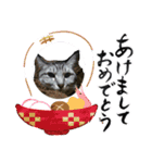 猫とか？（個別スタンプ：6）