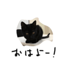 こまち＆ことら（個別スタンプ：1）