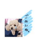 りなちゃんの使うスタンプ（個別スタンプ：13）