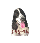 聖砂未だよ全員集合vol.2(博多弁ver.)（個別スタンプ：4）