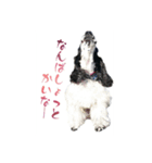 聖砂未だよ全員集合vol.2(博多弁ver.)（個別スタンプ：5）