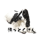 聖砂未だよ全員集合vol.2(博多弁ver.)（個別スタンプ：8）