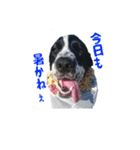 聖砂未だよ全員集合vol.2(博多弁ver.)（個別スタンプ：9）