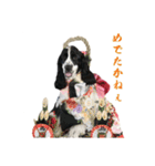 聖砂未だよ全員集合vol.2(博多弁ver.)（個別スタンプ：13）