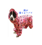 聖砂未だよ全員集合vol.2(博多弁ver.)（個別スタンプ：14）