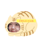 kabikabigon（個別スタンプ：8）