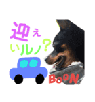 うちのわんこbest（個別スタンプ：5）