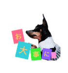 うちのわんこbest（個別スタンプ：18）