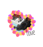 うちのわんこbest（個別スタンプ：33）
