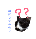 我が家の万次郎くん（個別スタンプ：4）