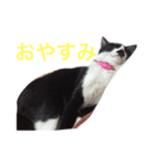 我が家の万次郎くん（個別スタンプ：7）