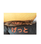 むーにゃんず（個別スタンプ：8）