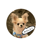まとばふぁみ（個別スタンプ：3）