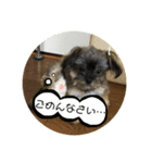 まとばふぁみ（個別スタンプ：5）