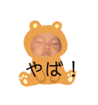 あさfamスタンプ（個別スタンプ：16）