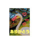 りいのすけスタンプ鳥、矮鶏、トンビ、鶉（個別スタンプ：27）