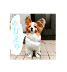 ベリー6歳（個別スタンプ：7）