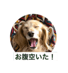 ミニチュアダックスフントレモンちゃん（個別スタンプ：6）